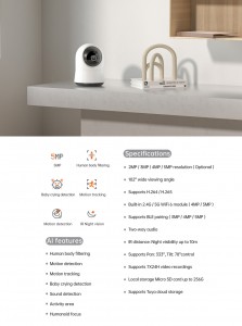 Wireless Smart P&T Camera