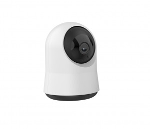 Wireless Smart P&T Camera