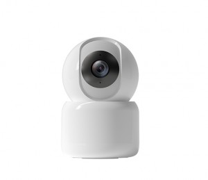 Smart Wireless P&T Camera