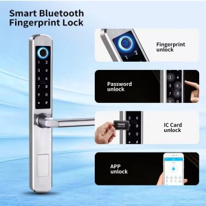 Waterproof Stainless Steel 304 TTLock App Fingerprint Password Keyless Entry Smart Sliding Aluminum Door Lock