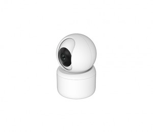 Smart Wireless P&T Camera